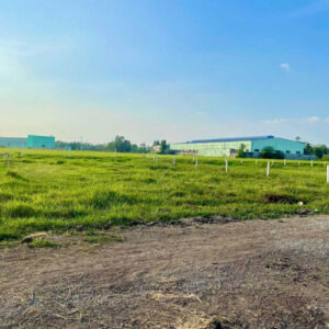 dat nong nghiep Cu Chi