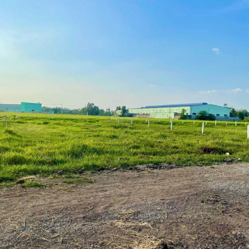 Cho thuê 4000m2 đất nông nghiệp tại Củ Chi, TP. HCM 1 dat nong nghiep Cu Chi