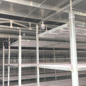 sang trang trai nam Cu Chi