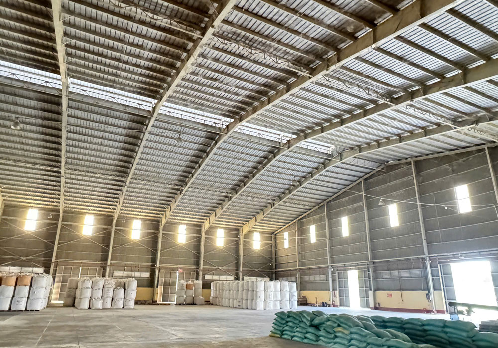 Bụi và mạng nhện bám trên vách tôn