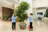 Dịch vụ vệ sinh toà nhà